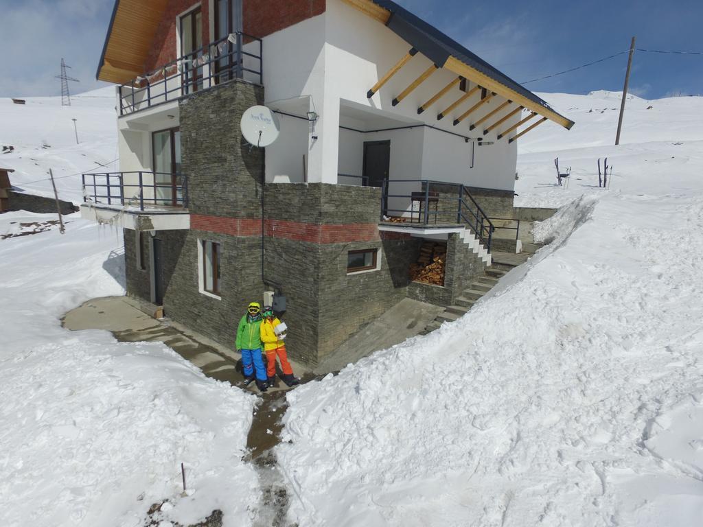 Mountain Cricket Chalets And Apartments 古多里 外观 照片